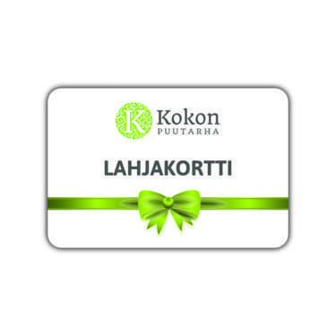 Sähköinen lahjakortti